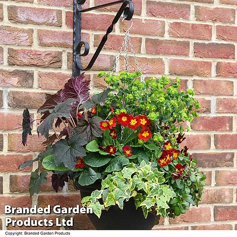 Autumn Fire Collection 1 Autumn Fire Collection