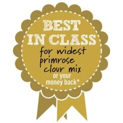 Primrose 'Alaska Improved Mixed' -Garden Supplies Sale BIC WIDESTPRIMROSEMIX B h