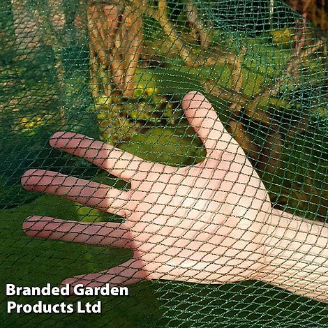 No Frills Cage 7mm Butterfly Net 2 No Frills Cage 7mm Butterfly Net - Image 2