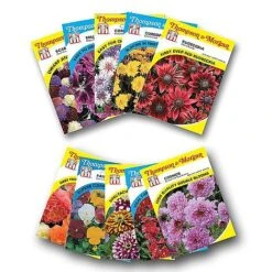 Seed Collection Tin - Gift -Garden Supplies Sale FLOW T45153P A h1