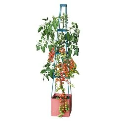 Garden Grow Self Watering Tomato Tower 11 Garden Grow Self Watering Tomato Tower -Garden Supplies Sale G2202 4 Tier Self Watering Tomato Tower CO with toms 2000x2000 1