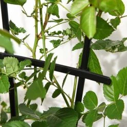 Garden Gear 1.2-Metre Fan Trellis -Garden Supplies Sale G447320TREL FANGARDEN203202000x2000