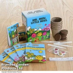 Mr Men Seed Grow Flower Kit