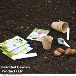 Mr Men Seed Grow Flower Kit 8 Mr Men Seed Grow Flower Kit -Garden Supplies Sale GKIT LITTLEMIS T49095