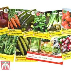 Grow Your Own Bumper Pack -Garden Supplies Sale GROW WKB9279 C