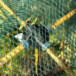 Bamboo Cane & Plant Stick Connector Balls - Pk 8 -Garden Supplies Sale GSK2025PIC2