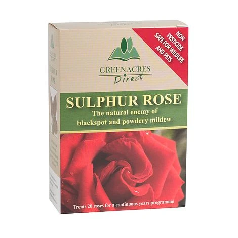 Sulphur Rose - 250 Grams 1 Sulphur Rose - 250 Grams