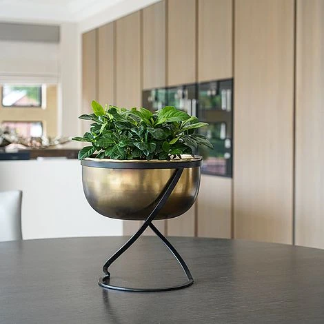 Indoor Kensington Brass Metal Round Planter On Stand H30Cm W28Cm 2 Indoor Kensington Brass Metal Round Planter On Stand H30Cm W28Cm - Image 2