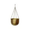 Indoor Mayfair Antique Brass Hanging Planter H16Cm D21Cm