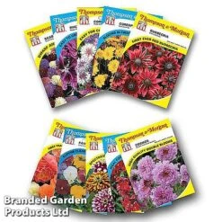 Nurserymans Choice Bedding Mix + 100g Incredibloom® + Nurserymans Choice Flower Seeds -Garden Supplies Sale NURS BED COLL3