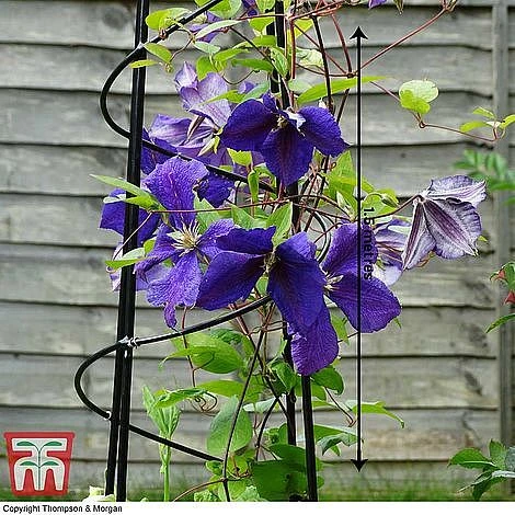 Open Top Obelisk 2 Open Top Obelisk - Image 2