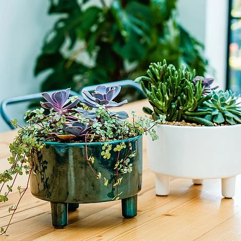 Pisa Emerald Bowl H14Cm D19Cm 2 Pisa Emerald Bowl H14Cm D19Cm - Image 2