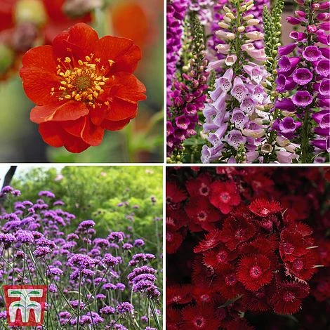 Rouge Perennial Collection 1 Rouge Perennial Collection