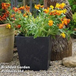 Sonata Garden Planters -Garden Supplies Sale PLAN SLATE33CM S48177
