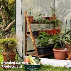 Medium Poly Pop Up (with Door) -Garden Supplies Sale POPU POLYMEDIU S41974