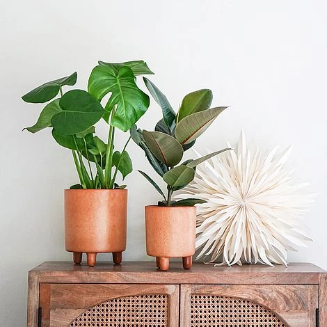 Pisa Reactive Glaze Planter Fawn H19CM D16CM 2 Pisa Reactive Glaze Planter Fawn H19CM D16CM - Image 2