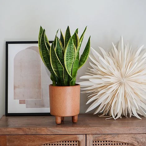 Pisa Reactive Glaze Planter Fawn H19CM D16CM 3 Pisa Reactive Glaze Planter Fawn H19CM D16CM - Image 3