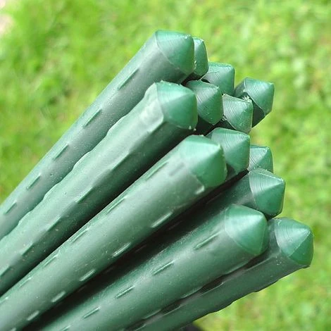 Plant Stake & Tomato Support Garden Canes - 1.2m / 47" Long 1 Plant Stake & Tomato Support Garden Canes - 1.2m / 47" Long