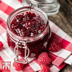 Raspberry Full Season Collection British Bred -Garden Supplies Sale RASP RECIPE CUL 2