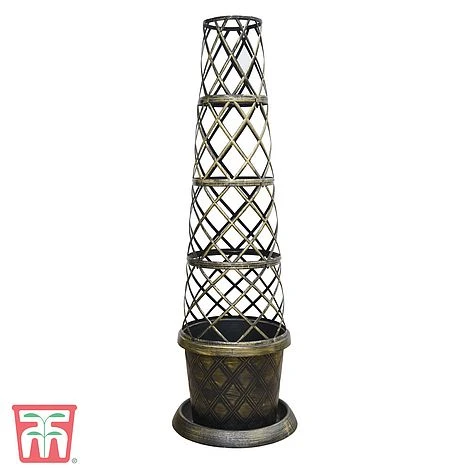 Black & Gold Tower Pot™ 2 Black & Gold Tower Pot™ - Image 2