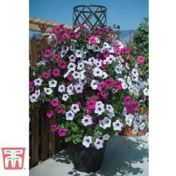 Black & Gold Tower Pot™ 7 Black & Gold Tower Pot™ -Garden Supplies Sale TOWE TKA8073 B1