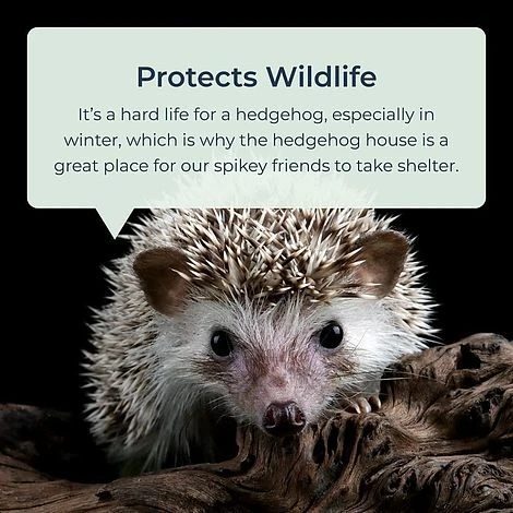 Idooka Waterproof Hedgehog House Garden Shelter Hedgehog Hotel 2 Idooka Waterproof Hedgehog House Garden Shelter Hedgehog Hotel - Image 2