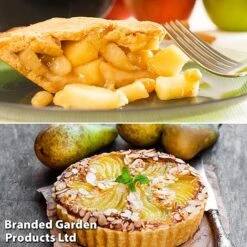 Fruit Tree Staple Duo 5 Fruit Tree Staple Duo -Garden Supplies Sale appe