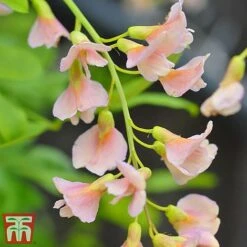 Garden Supplies Sale -Garden Supplies Sale labu