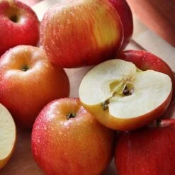 Apple 'Family Apple Tree' -Garden Supplies Sale national apple day braeburn