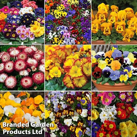 Winter Colour Collection 1 Winter Colour Collection