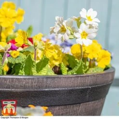 Wooden Barrel Effect Planter – Medium -Garden Supplies Sale wood bar61