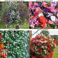 Bumper Garden Collection -Garden Supplies Sale z BUMP KB3121 B