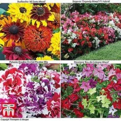 Bumper Garden Collection -Garden Supplies Sale z BUMP KB3121 O1