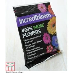 Clematis 'New Love' -Garden Supplies Sale z INCR T47963 E h3